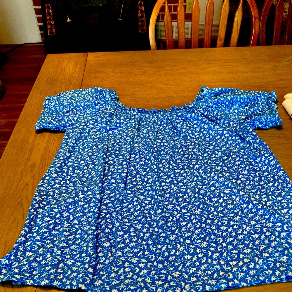 Blue and White Relaxed Puff Sleeve Top